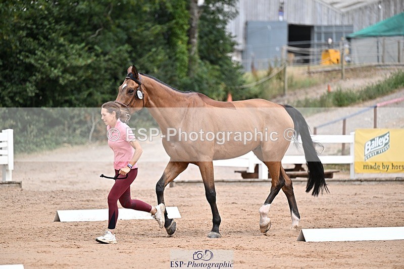 250716-132852-00547 - Trot Up 12.30 to 1.30