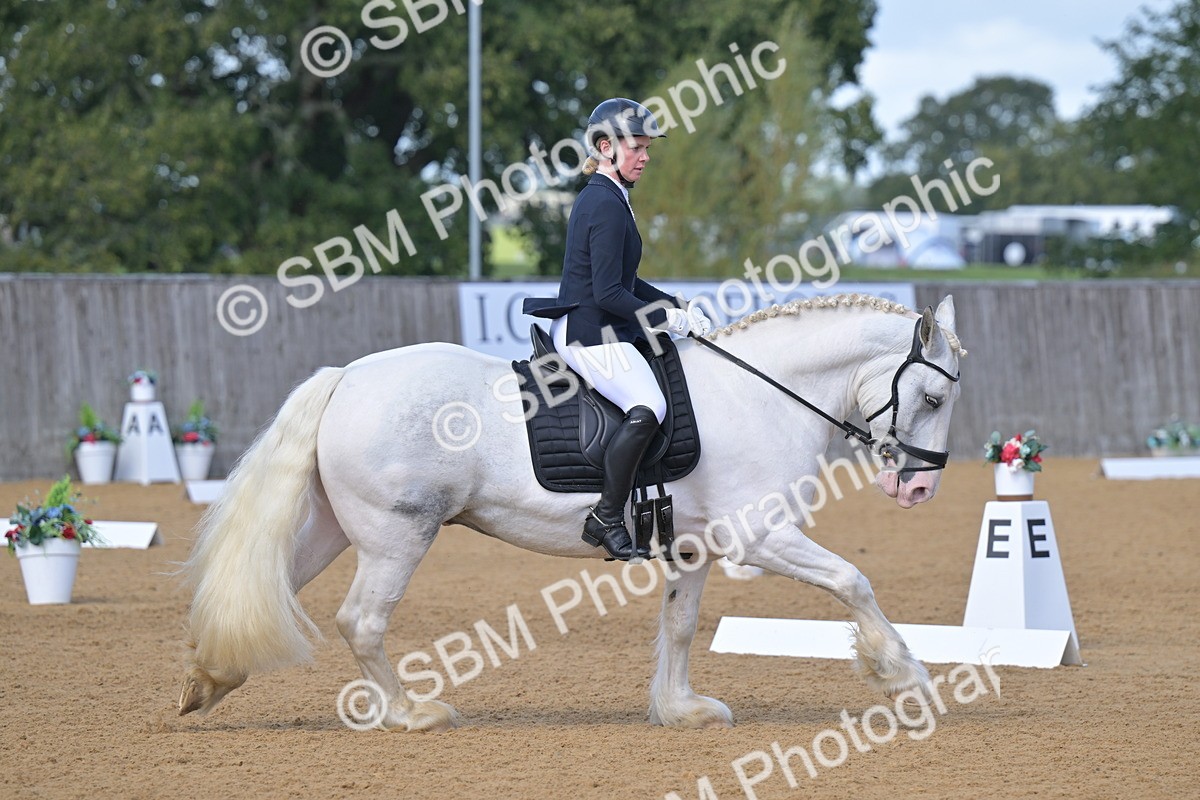 SBM_08009 - D8 - Small Tour Championship Prelim 1