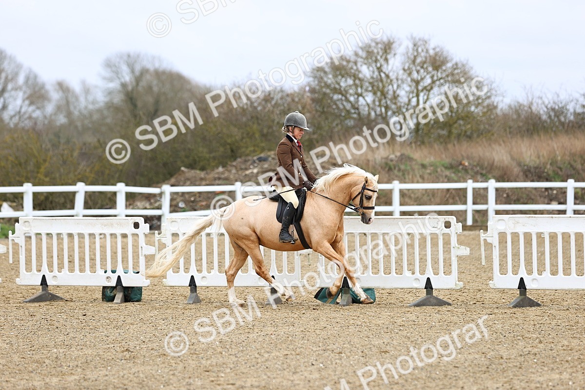 SBM_006844 - Class 29 - 30 - M&M Pure Novice Small-Large Breeds