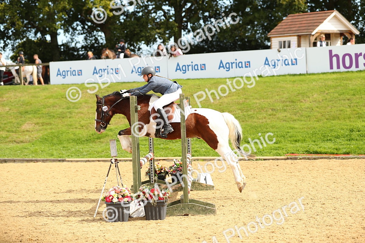 SBM_67126 - J17 - Junior Pony 80cm Championship