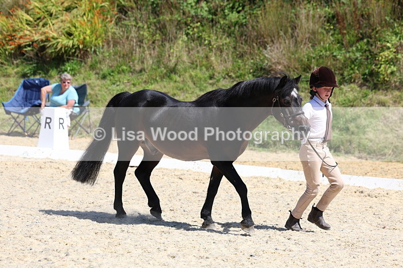 3E7A9427 - Class 29: Veteran In Hand