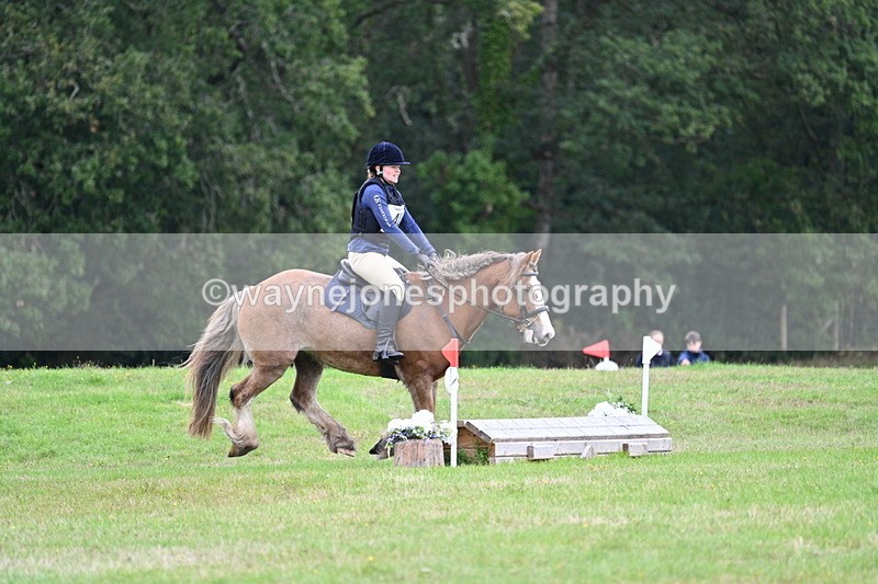 WJ7_7727 - 40cm Time 10:49 to 11:18