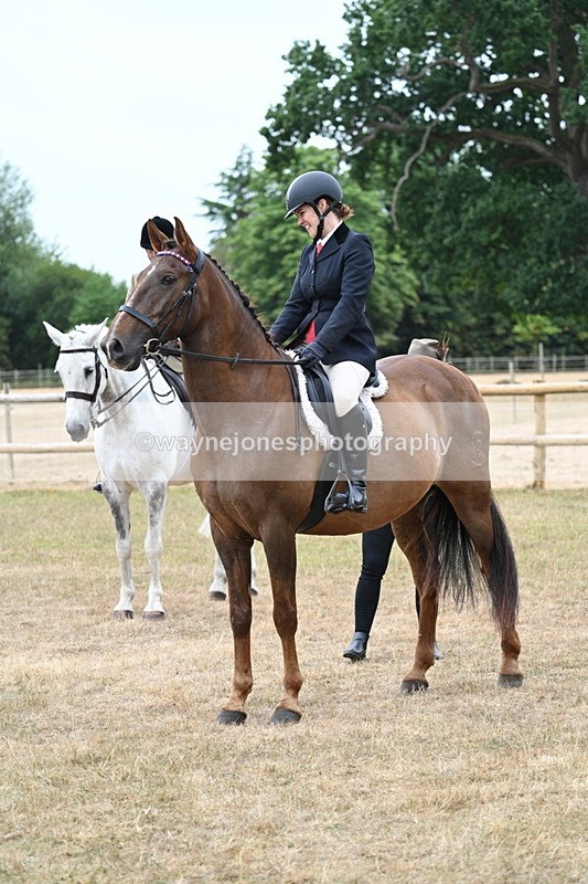 WJ7_0810 - Class 7 Riding Club Show Horse