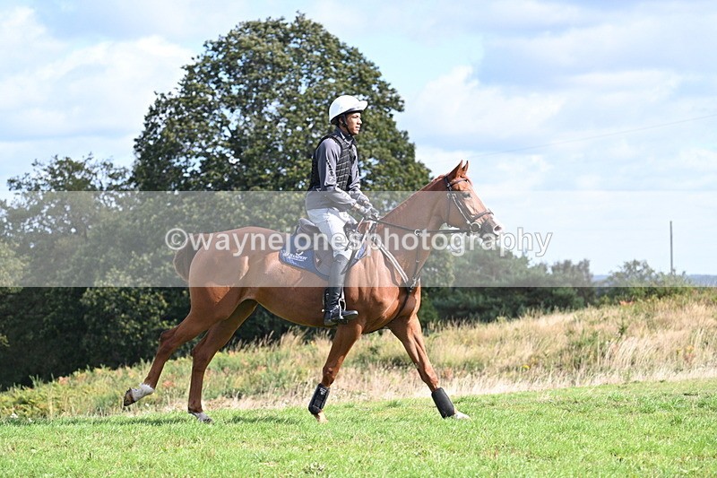 WJ7_0154 - Time 11:02 to 11:34