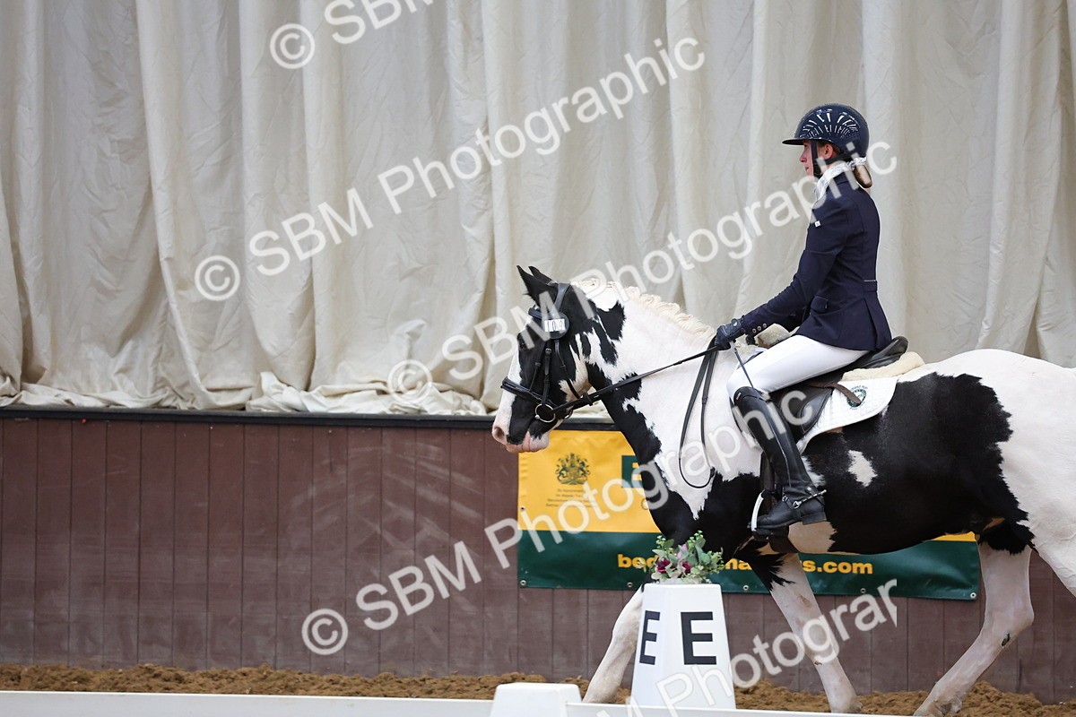 SBM_002600 - Novice