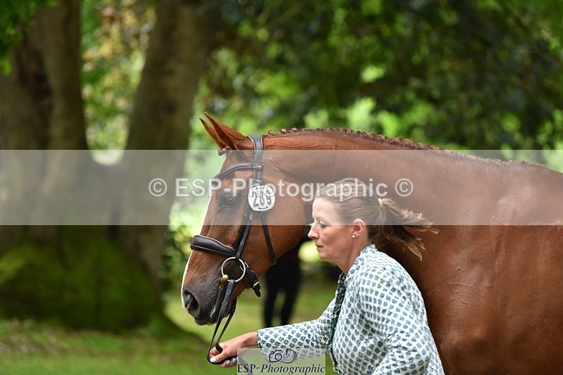 240522-172756-01628 - 289-JUST_A_JOLLY-Flora_Harris