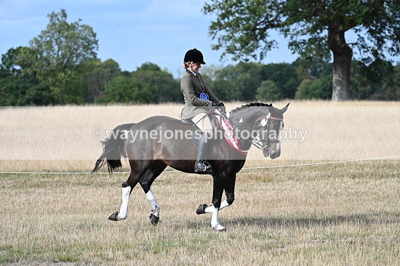 WJ7_7876 - Ridden Championship