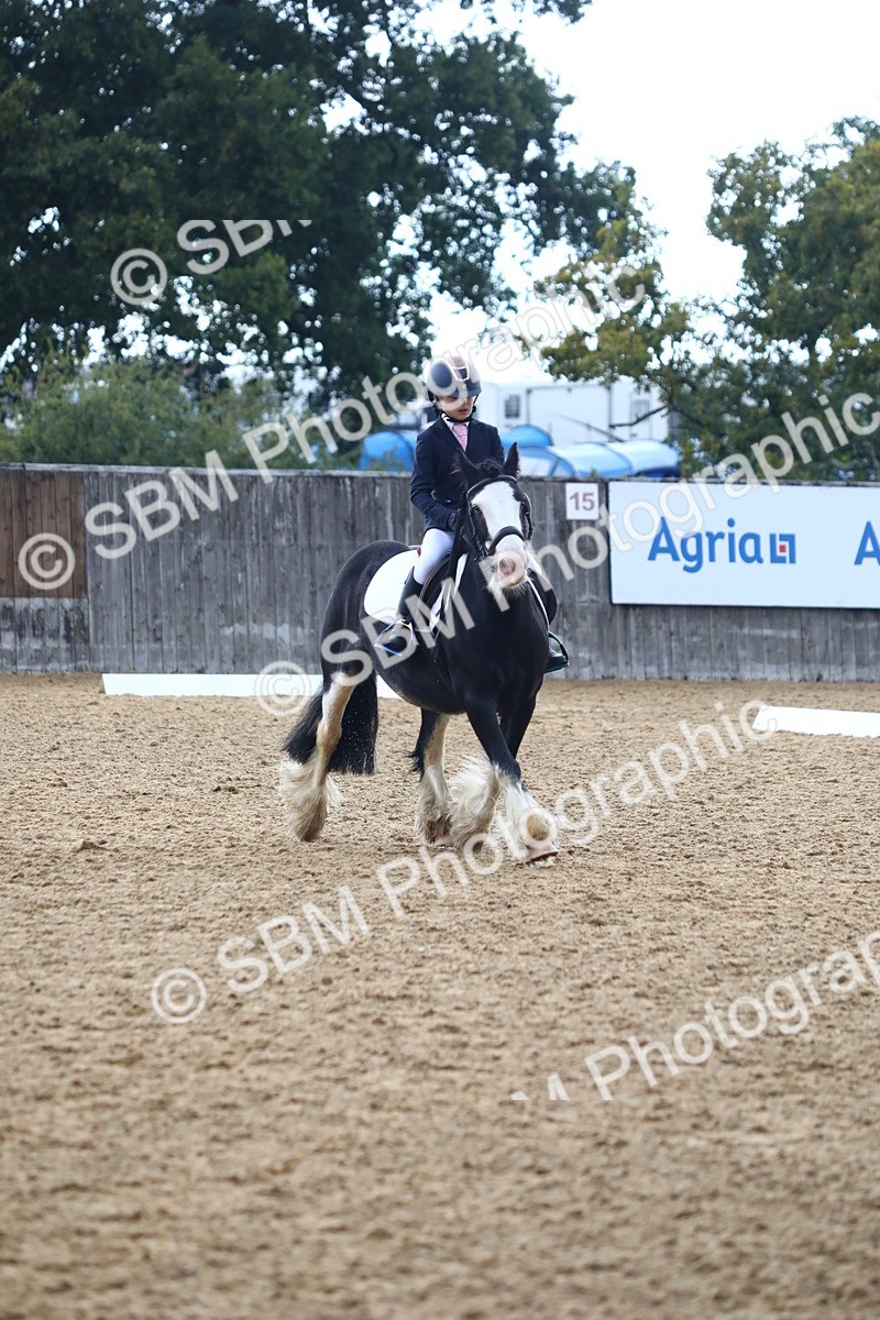 SBM_42590 - D21 - Junior Championship Intro 1