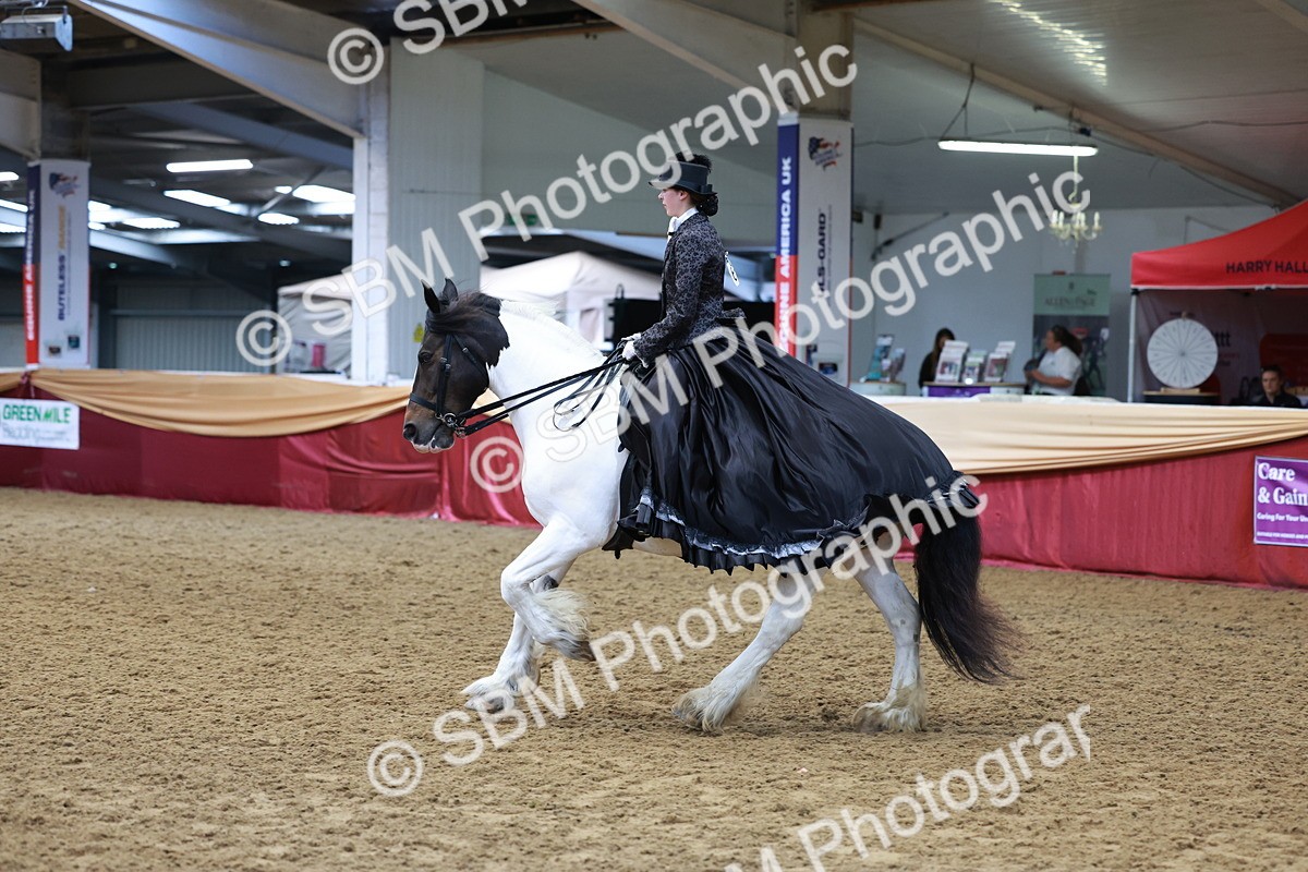 SBM_13784 - Class 106 - Ridden Costume -Astride Adult (15-19)