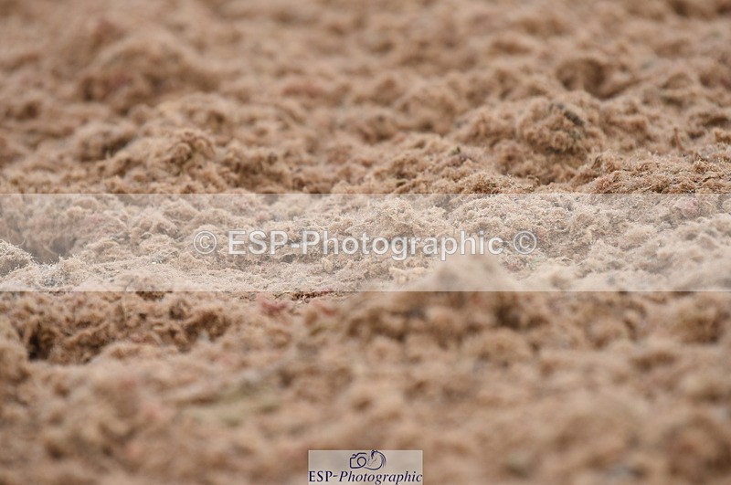 230630A-154148-03240 - Cls 1+5 Quest Intro A + Prelim 2