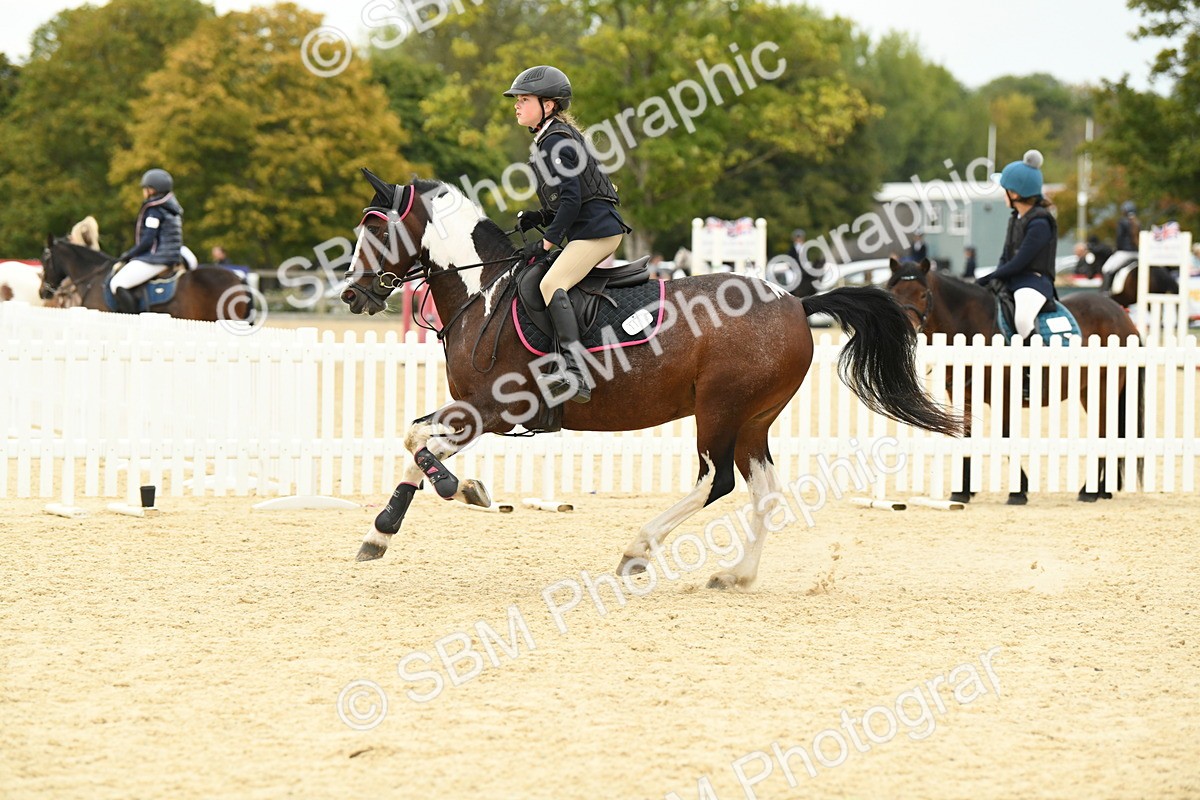 SBM_73277 - J16 - Junior Pony 75cm Championship