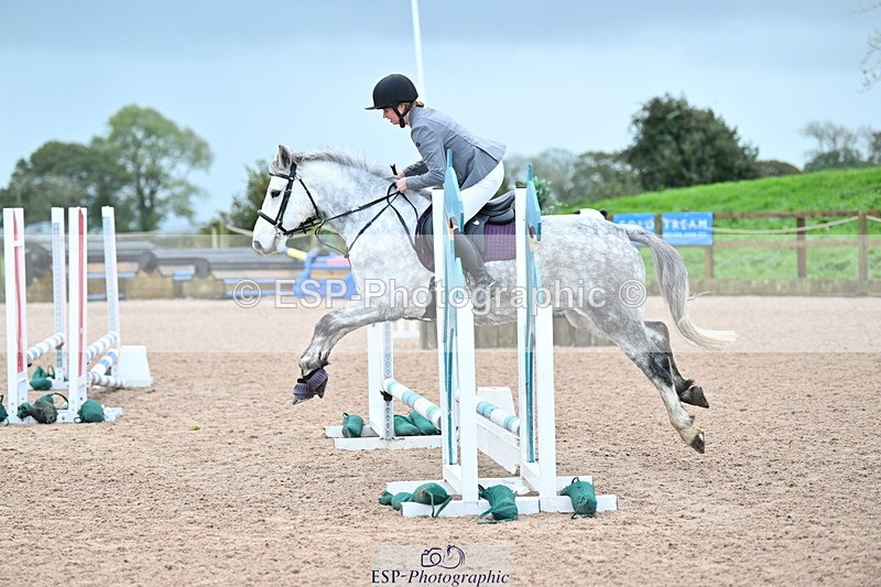 231029A-090006-02244 - 50cm Clear Round