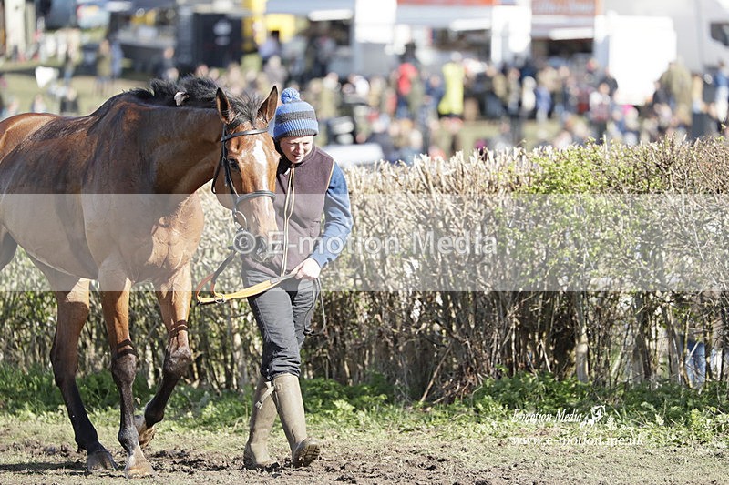 PtP 100423 1178 - Old Berkshire Point-to-Point Lockinge 10/04/23