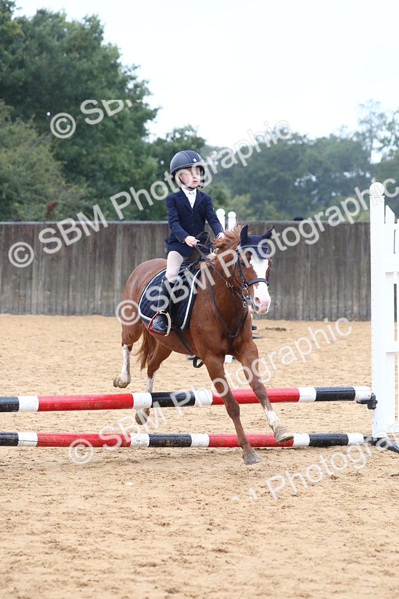 SBM_71566 - J4 - Mini Tour Junior Pony 45cm Championship
