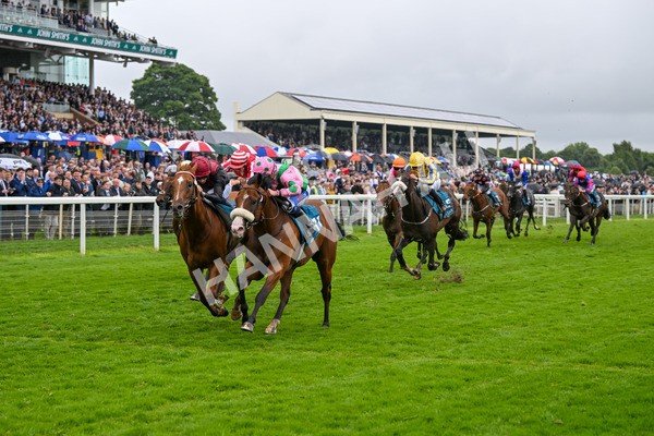 130724-Race 5-East Tyrone-7602 - Race 5 4.15pm John Smith's Nursery Handicap