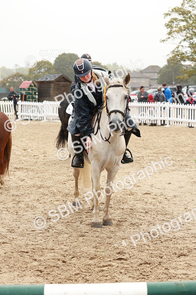 SBM_72300 - J14 - Junior Pony 65cm Championship