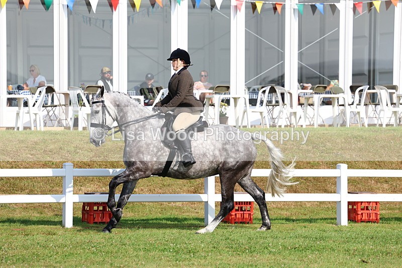 3E7A8595 - Class 3: Rising Star S/L Hunter