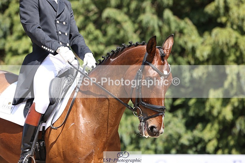 230526-140719-06454 - 371-JERPOINT_ECLIPSE-Max_Gordon-WEDTrotUp+DR