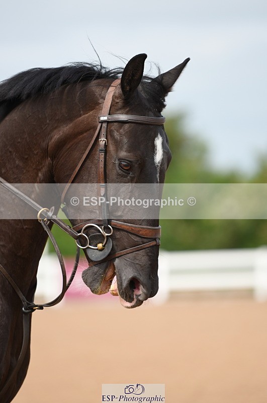 230628A-102800-00088 - Cls 1 British Novice & 90cm Open