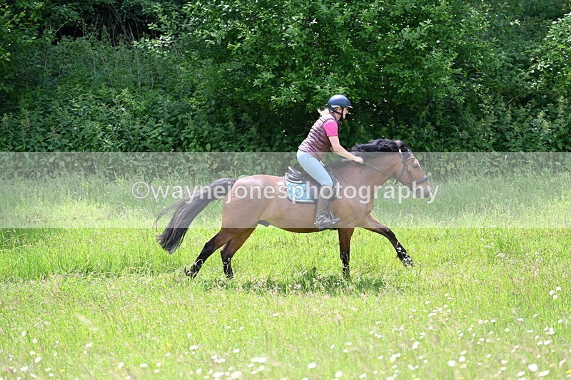 WJ7_8858 - Group 4 11am