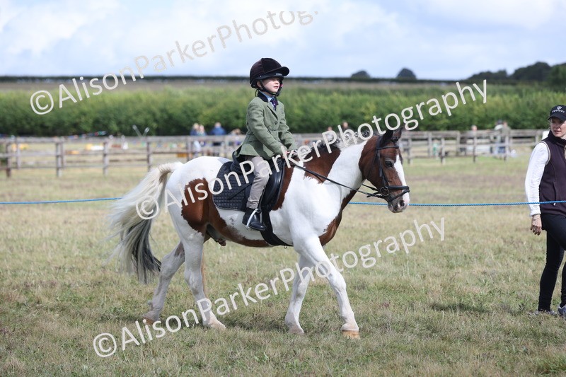 20250831-4189 - Class 20 - Ridden Coloured