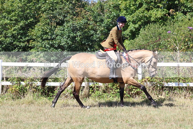3E7A6496 - Working Hunter Championship