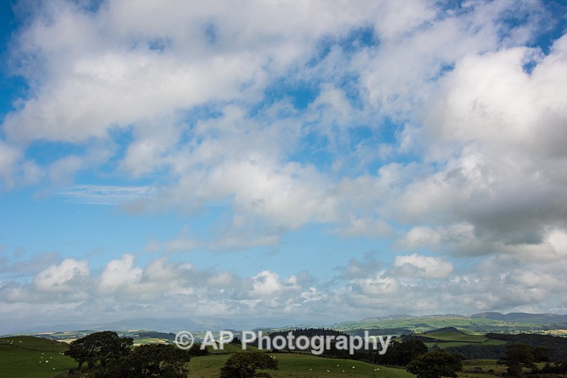 ACP_2431-1 - Rural Views