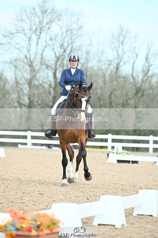 250403-095235-01046 - 037-Fay.Lai-Greenlanes.Lullaby