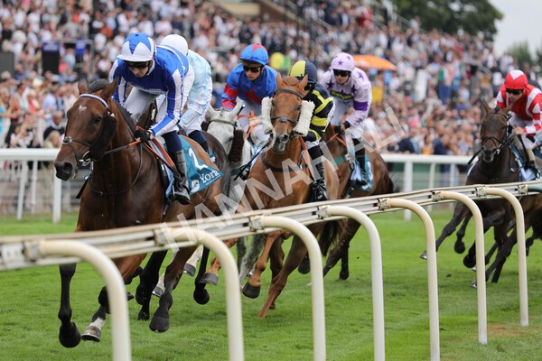 yr23072022r5-16 - Race 5 4.25pm Sky Bet UK's No1 Betting App Stakes
