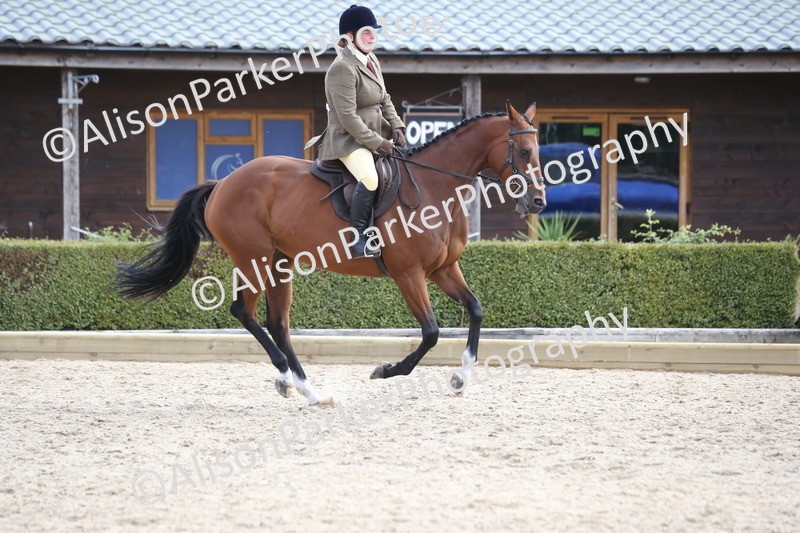20260831-2652 - Class 15 - Ridden Retraining of Racehorses
