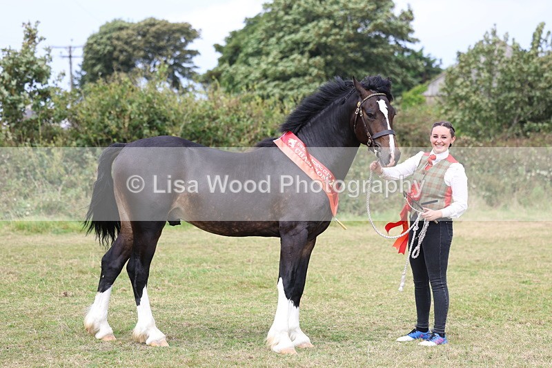 3E7A5736 - In Hand Championship