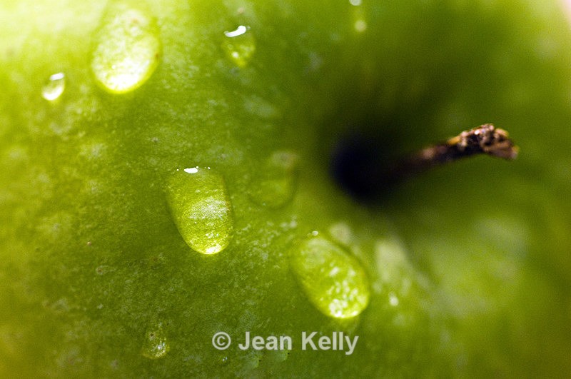 Apple - 7108 - Fruit