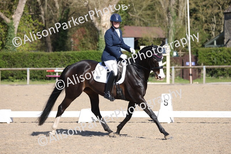 20250406-0412 - Class 3 - Novice 5