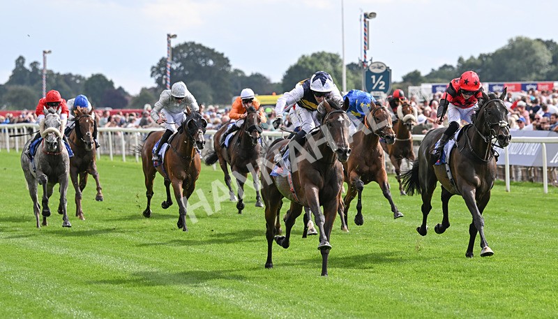 190826-182 Small Fry - Race 5 16.10pm Sky Bet Stayers Handicap