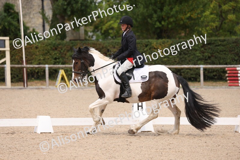 20250819-1353 - Class 4 - Novice 2