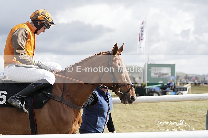 PtP 180323 417 - Shelfield Park Races with Croome & West Warwickshire Hunt  18/03/23
