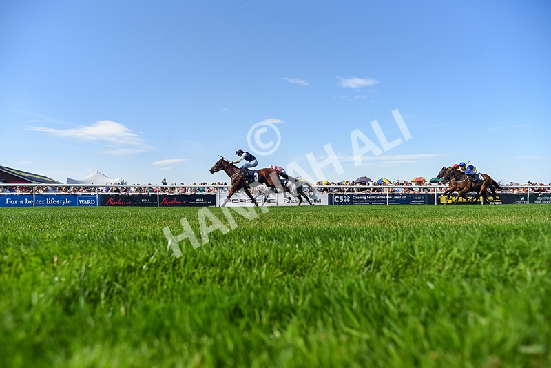120826-Race 5-Ciao Capo-6456 - Race 5 16.15pm Cayenne Electric At Porsche Centre Hull Handicap