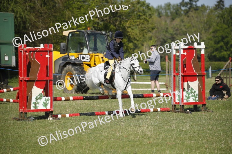 20250427-0406 - Class 12 - Rookie Jumping 40cm