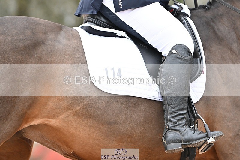 250216-120055-05187 - 114-Colleen.Hoekstra.Knox-Foxhill.Betty.Boo