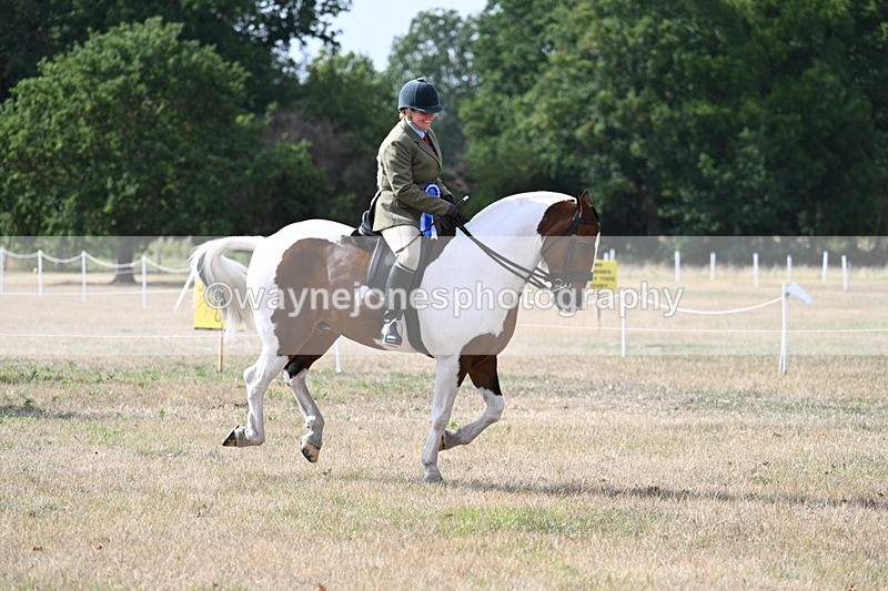 WJ7_7500 - Class 14 Ridden Coloured