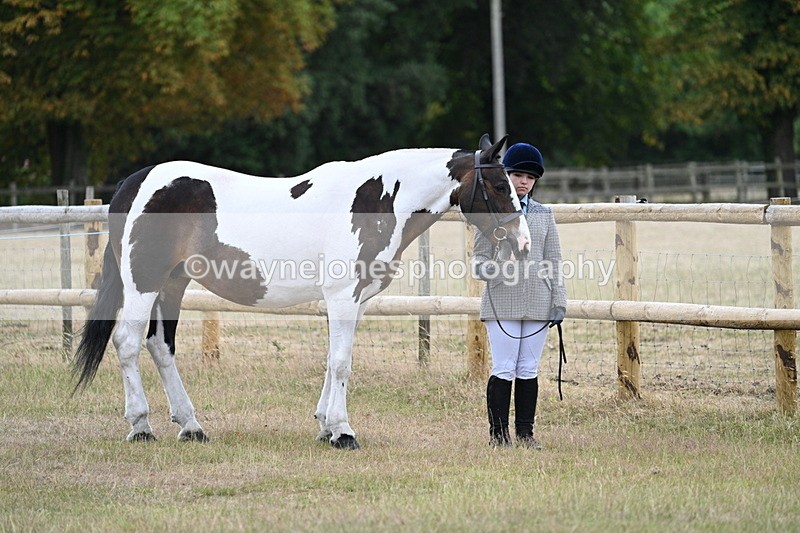 WJ7_8843 - Class 4a Prettiest Mare 14.2hh and over