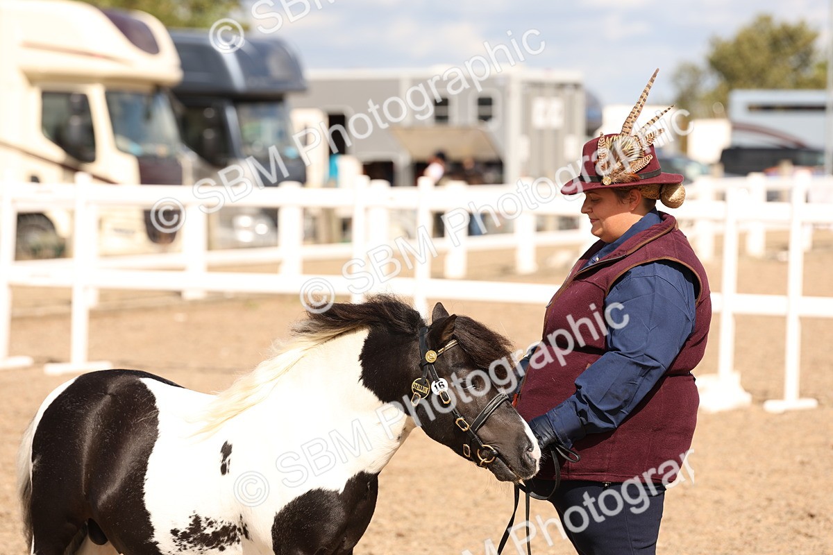 SBM_15110 - Class 209 - IH Veteran Pony