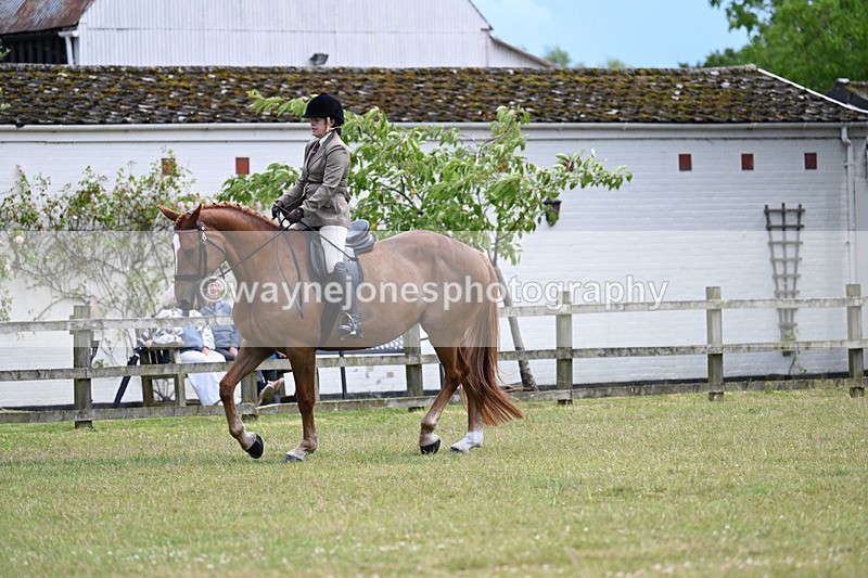 WJ7_9353 - Class 8 Ridden Veterans