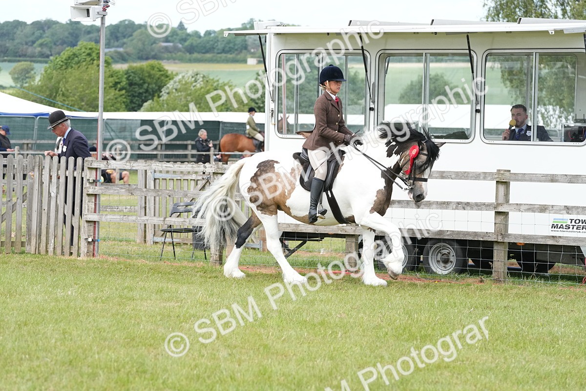 SBM_17662 - Class 107-108 - LIHS BSPS Performance Coloured Horse Pony