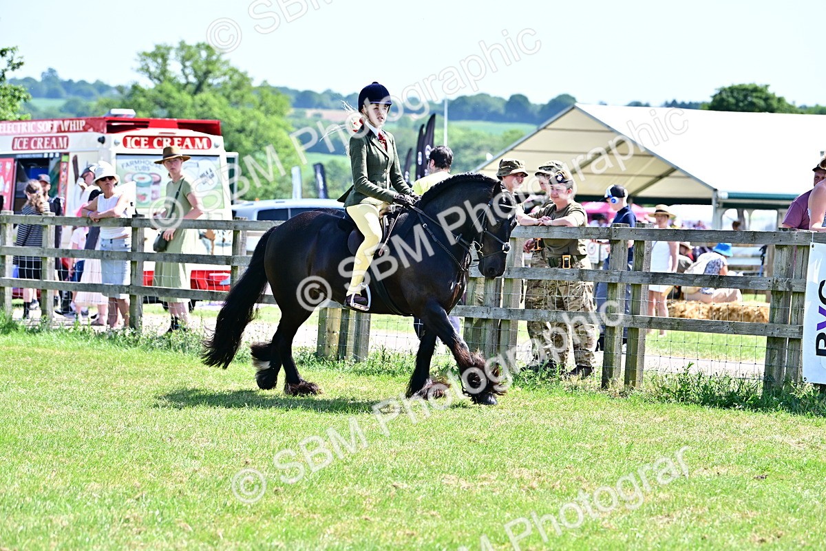 SBM_13998 - Class 95-97 - BSPS LHS Performance Ponies