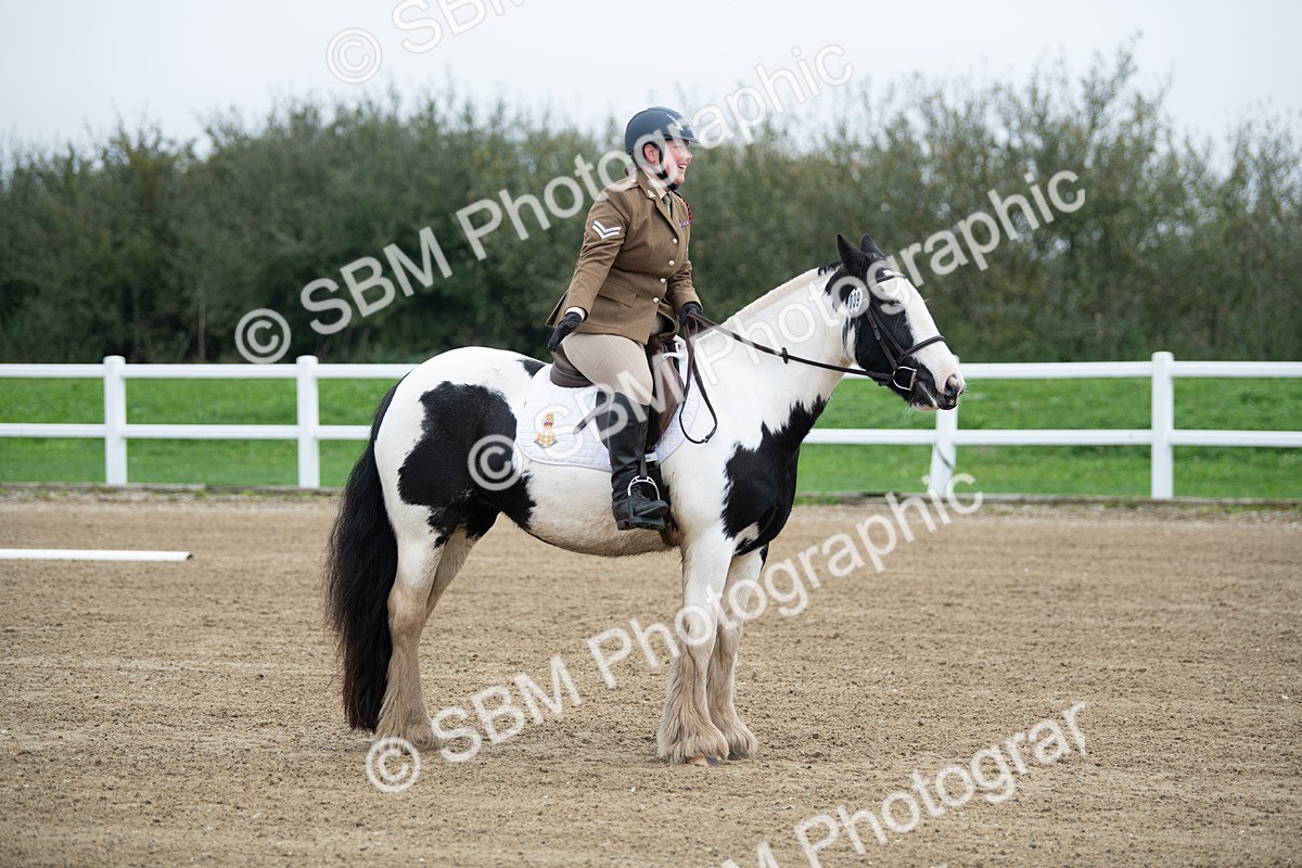 SBM_003443 - Introductory Test 3