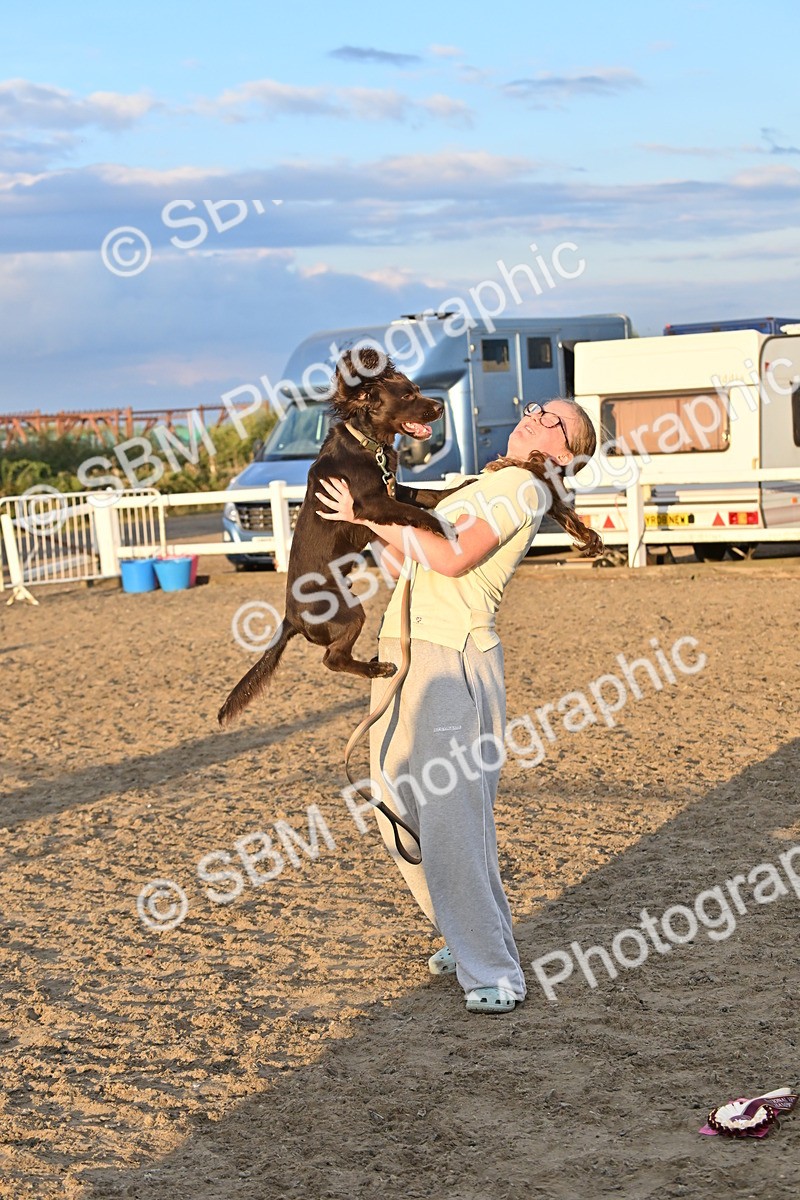 SBM_09714 - Lorry Dogs