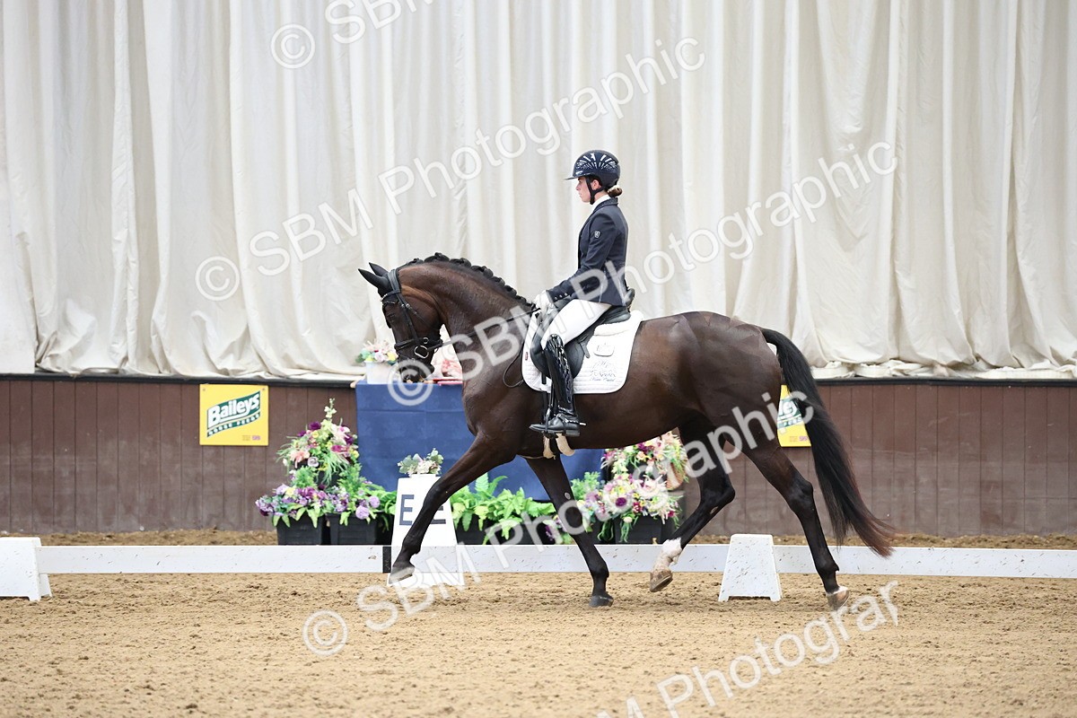 SBM_002133 - Class 5 - Novice 6 Gold - 9.00-10.10