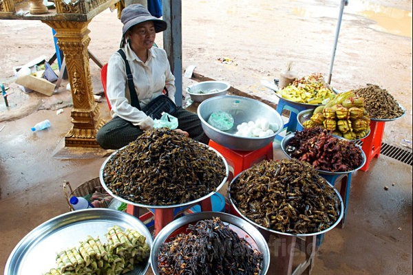  - Cambodia