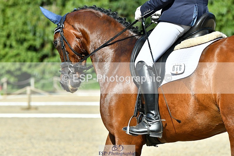 230623-171611-02991 - Cls 9 Advanced Medium 91Q